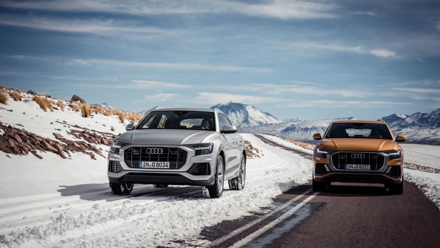  Audi Q8 50 TDI Quattro 2018 года  (WW) (фото 22 из 25)